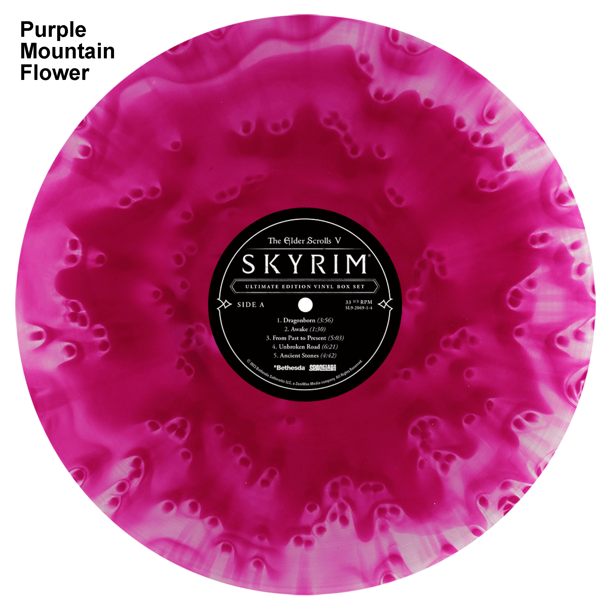 The Elder Scrolls V: Skyrim 